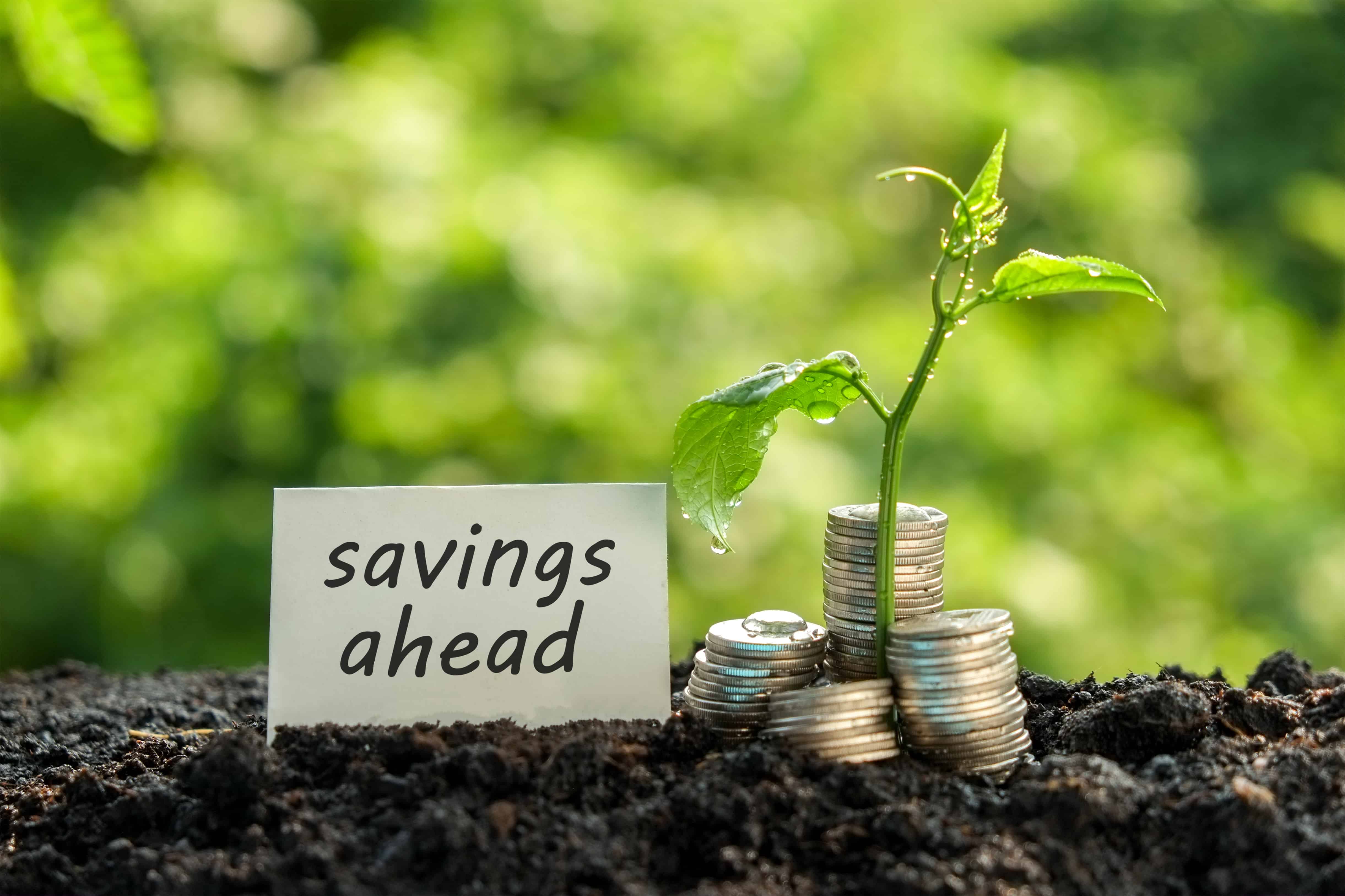 stack of coins on soil with the words savings ahead