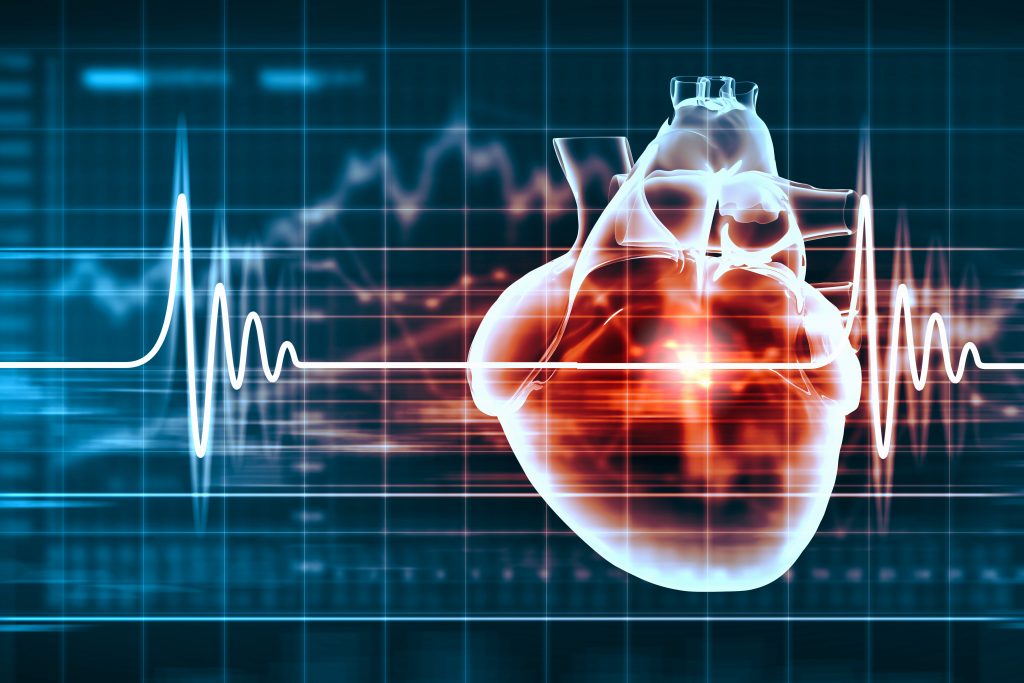 Virtual image of human heart with cardiogram